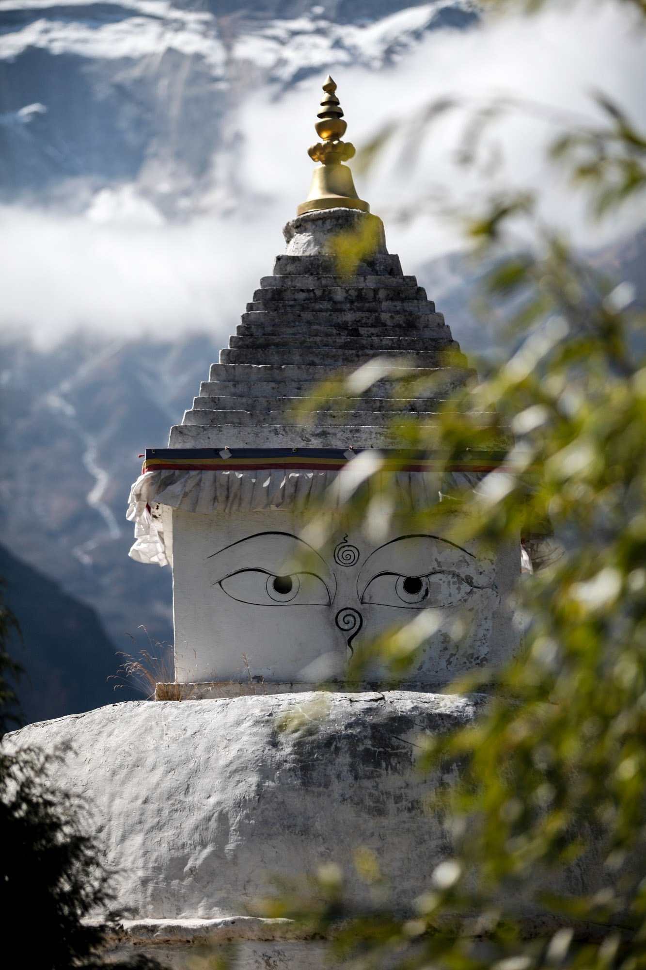 Stupa in the Himalayas, hiding behind a tree