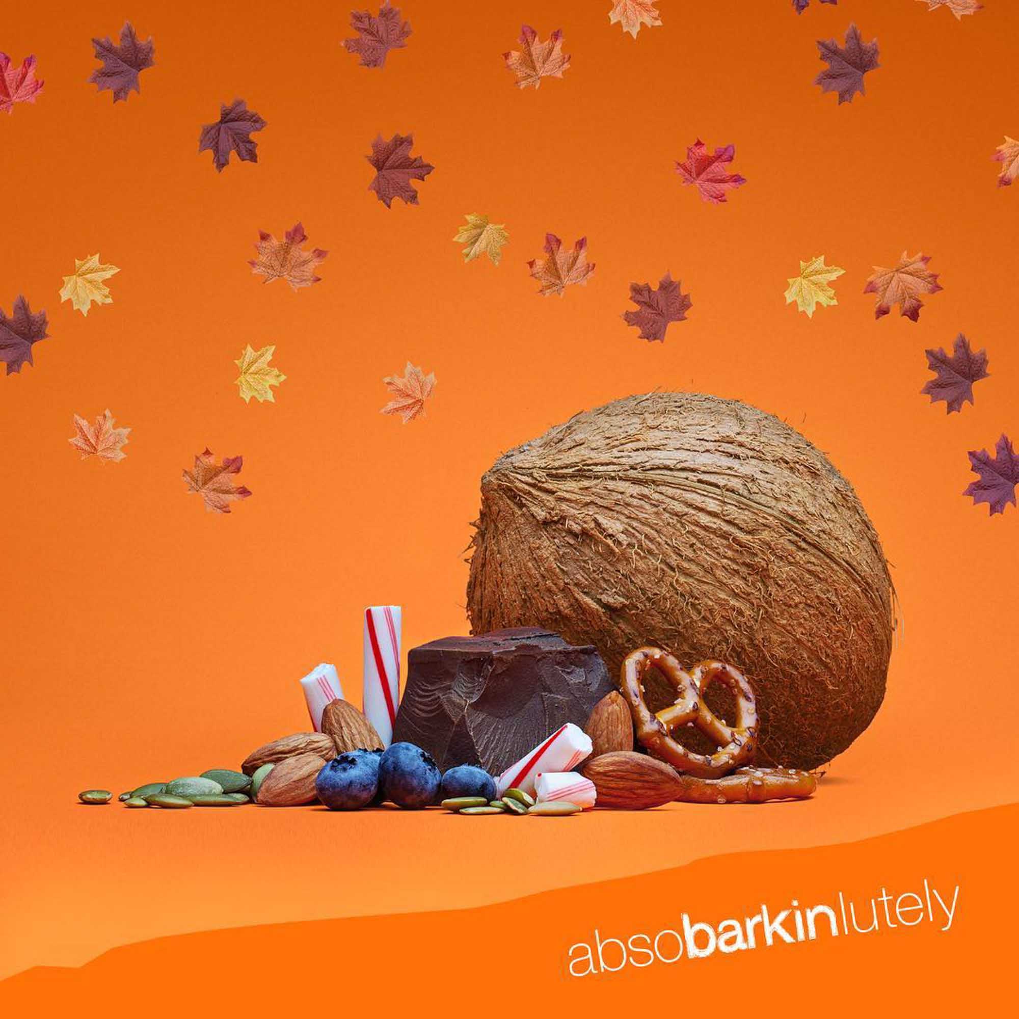 Seasonal still life for barkTHINS — a coconut, a dark-chocolate square, almonds, blueberries, pretzels, pumpkin seeds and peppermint sticks arranged on an orange background with falling maple leaves.