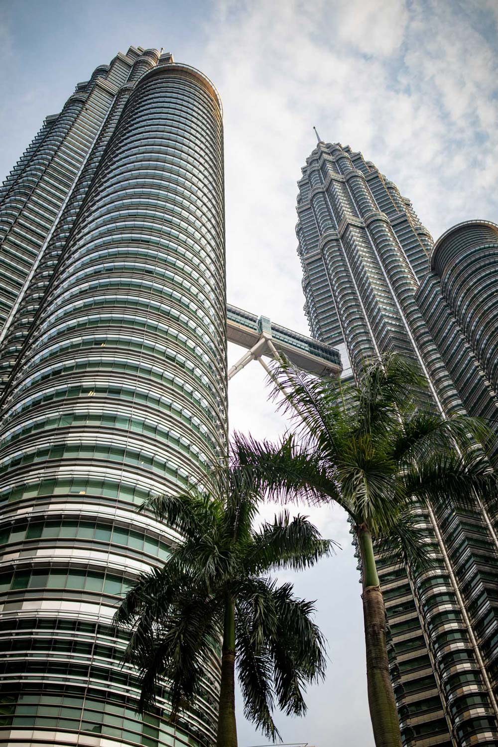 Low-angle view of the Petronas Twin Towers and their sky bridge, framed by palm trees — Kuala Lumpur, Malaysia.